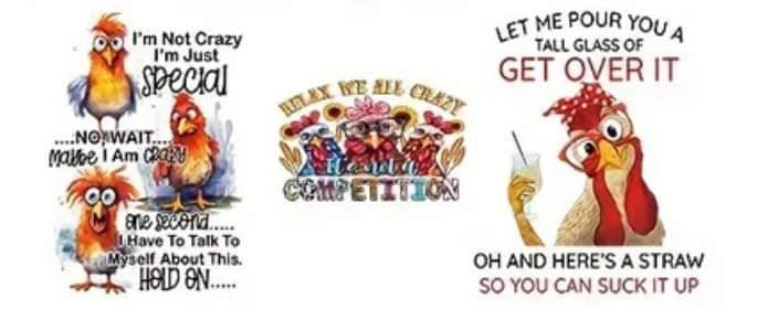 RELAX WE ALL CRAZY Herd a COMPETITION Chicken Cup -Frosted 16oz Glass Tumbler