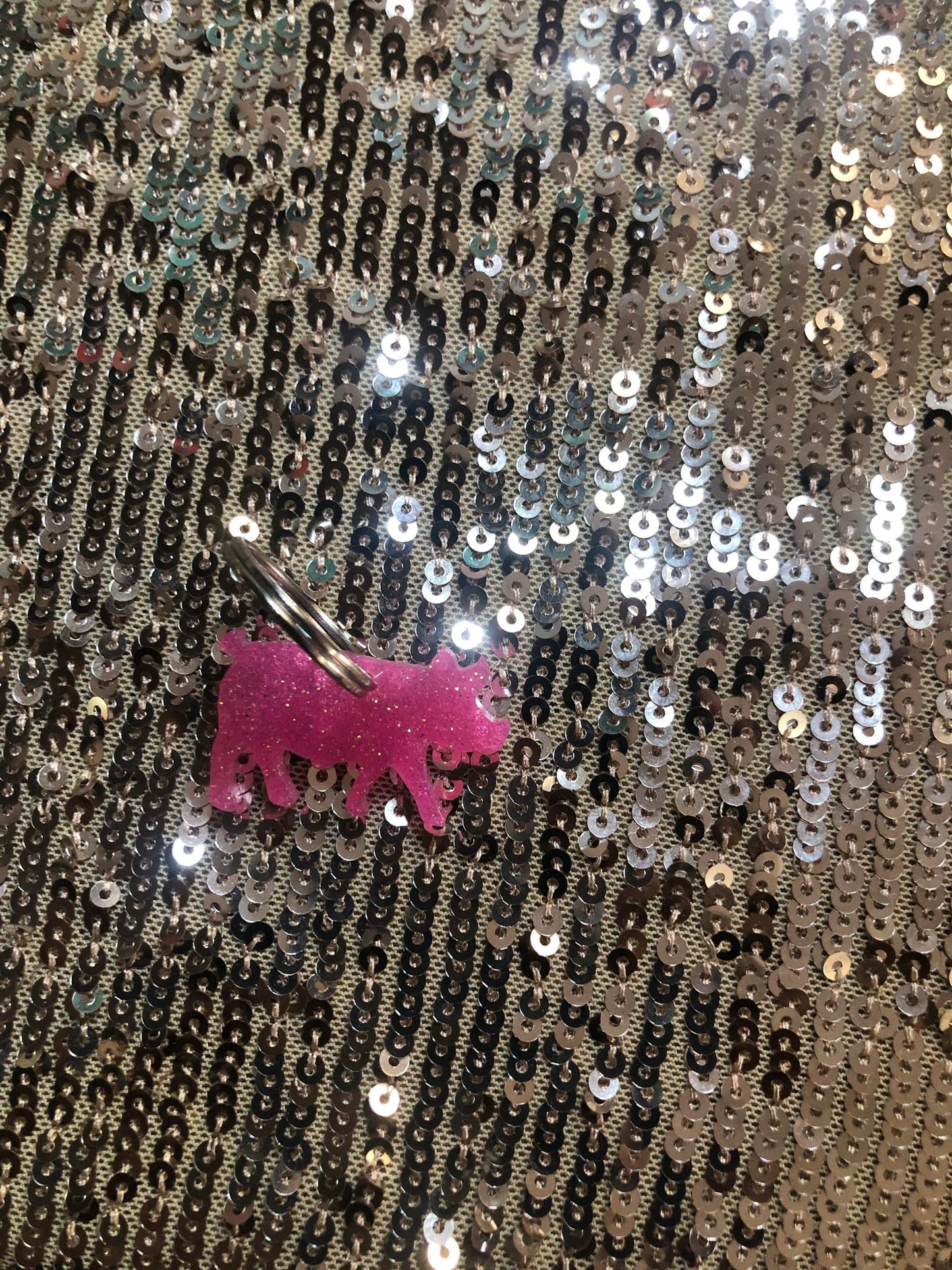 Pig and Piglets Resin Keychains