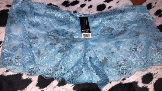 Vision Boyshort Lace Underwear