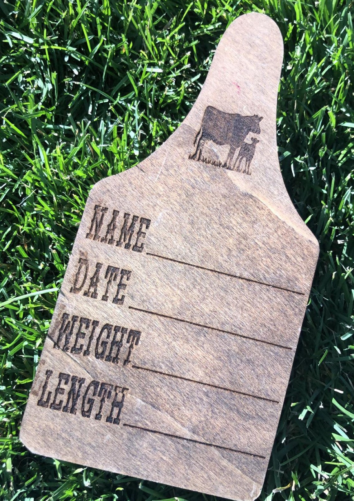 Livestock Ear Tag Laser Cut Birth Stats Cow Tag Birth Announcement