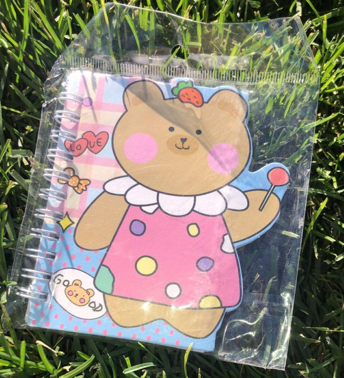 Small Teddy Bear Notebooks